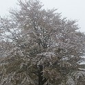 Raichberg 2007 Bild 18